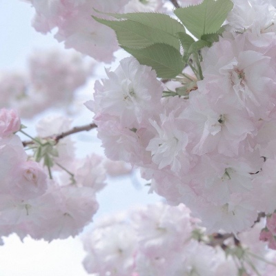 兽设星空场景设计兽圈群